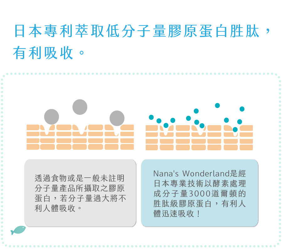 吸収しやすい低分子量コラーゲンペプチド